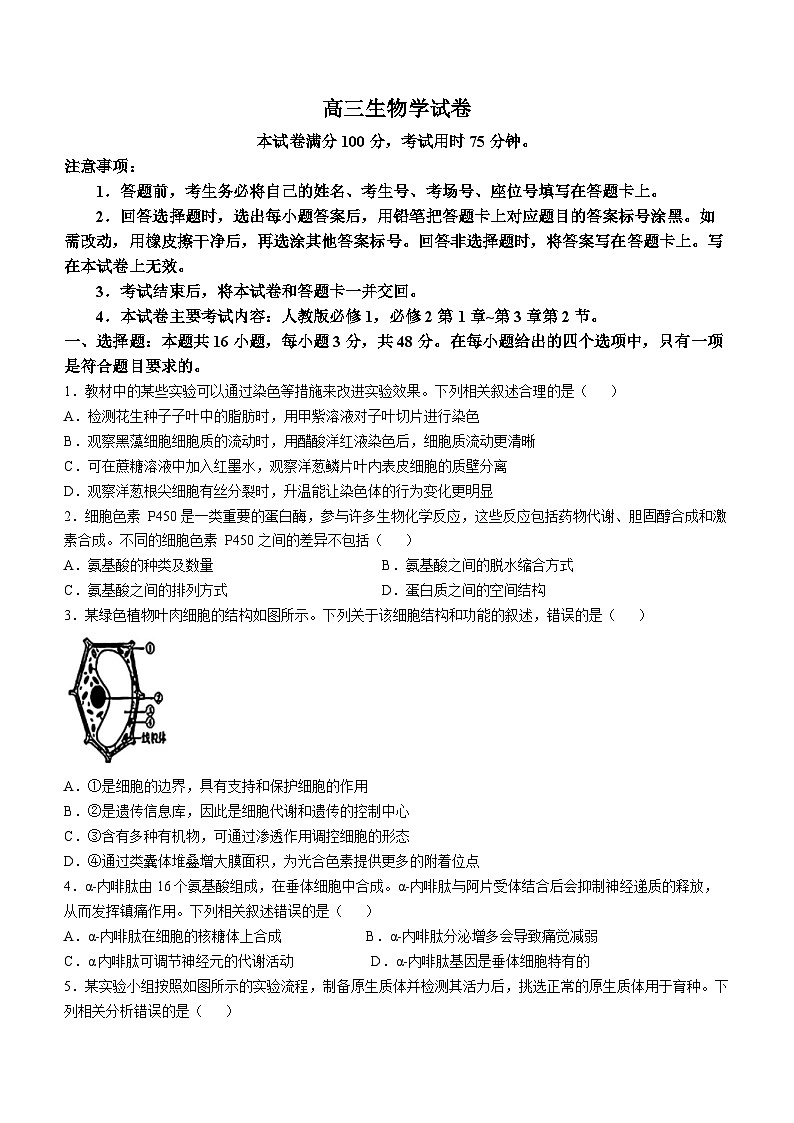 青海省金太阳2024-2025学年高三上学期期中联考生物试题(含答案)第1页