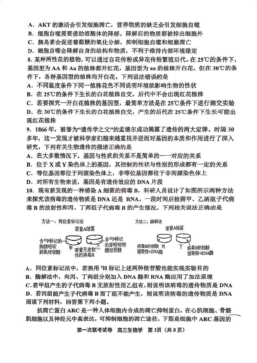 天津市北辰區(qū)2024-2025學年高三上學期11月期中生物試題（含答案）第3頁
