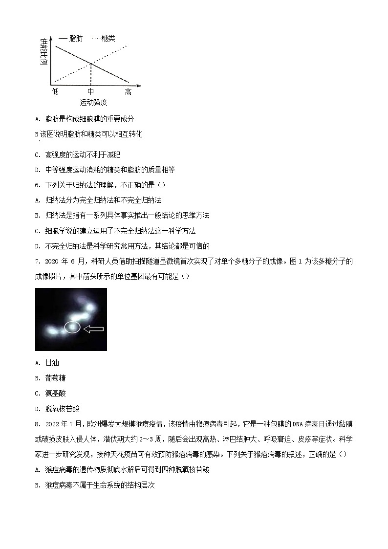 吉林省長春市2023_2024學(xué)年高一生物上學(xué)期期中試題含解析第2頁