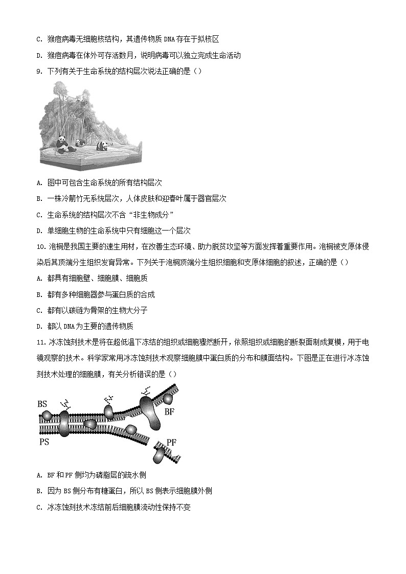 吉林省長春市2023_2024學(xué)年高一生物上學(xué)期期中試題含解析第3頁