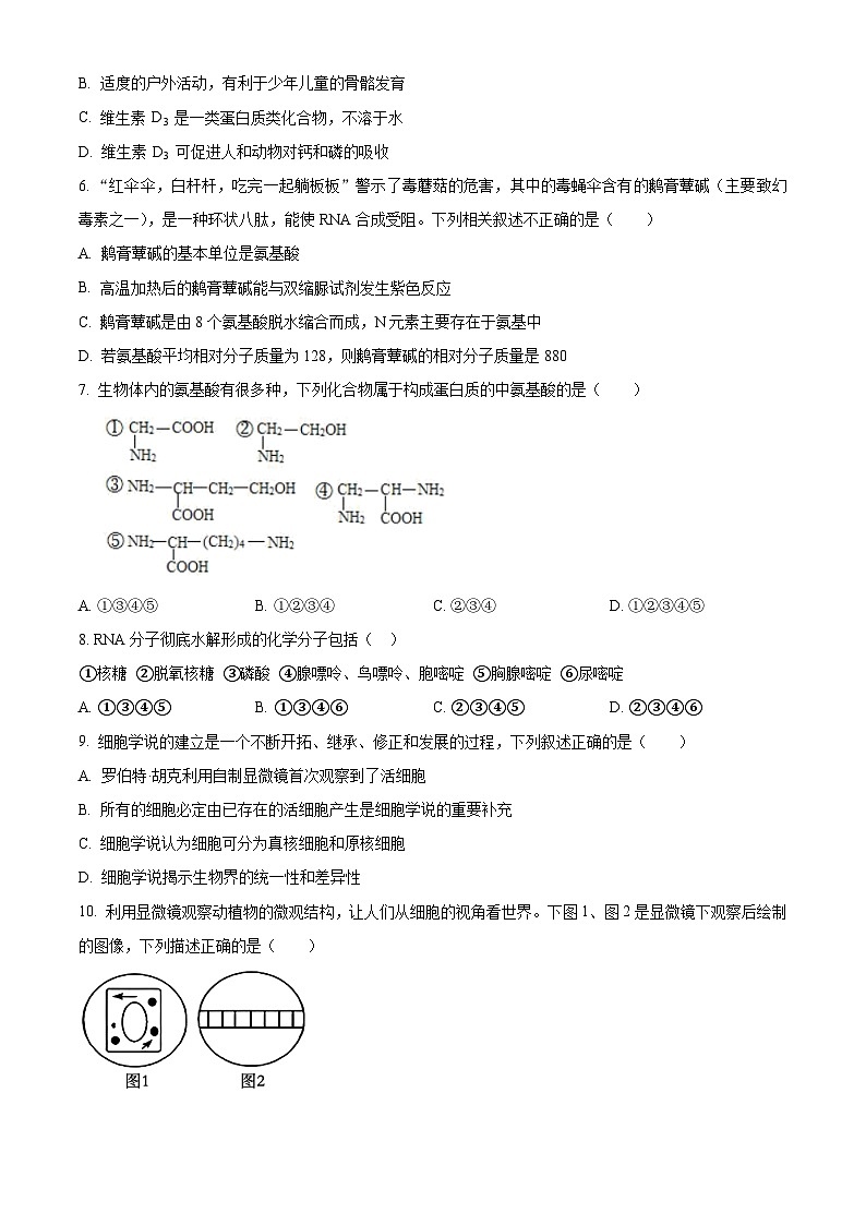 浙江省绍兴市会稽联盟2024-2025学年高一上学期11月期中生物试题 Word版无答案第2页