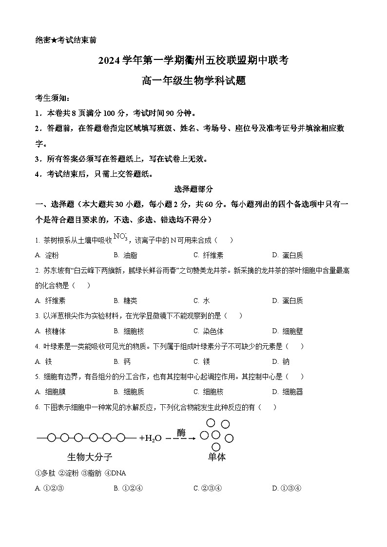 浙江省衢州市五校联盟2024-2025学年高一上学期期中生物试题 Word版无答案第1页