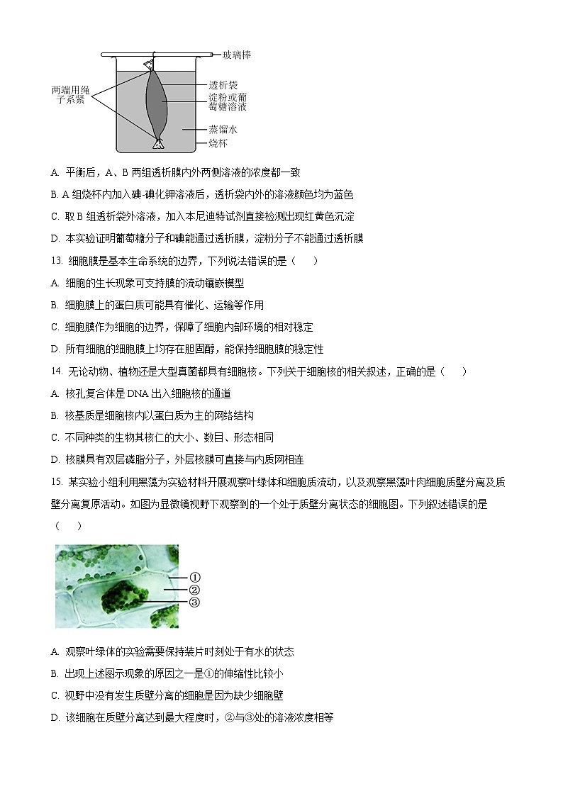 浙江省衢州市五校联盟2024-2025学年高一上学期期中生物试题 Word版无答案第3页