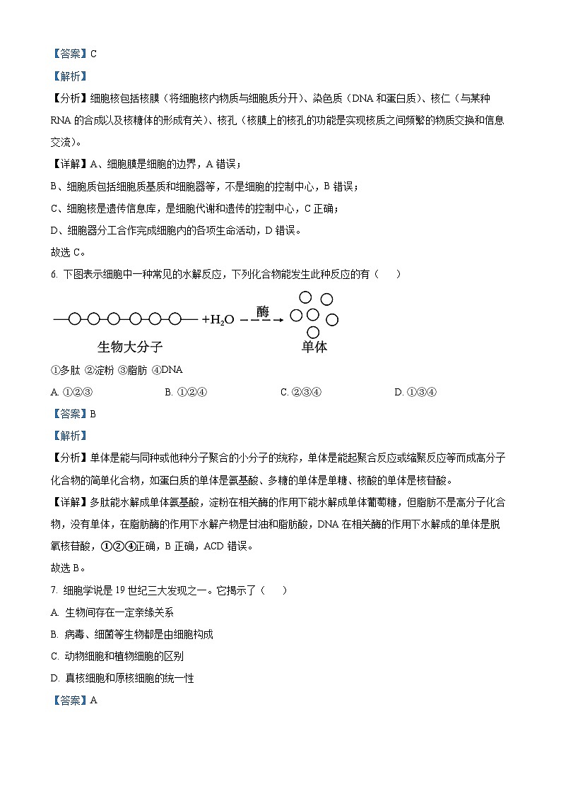 浙江省衢州市五校联盟2024-2025学年高一上学期期中生物试题 Word版含解析第3页