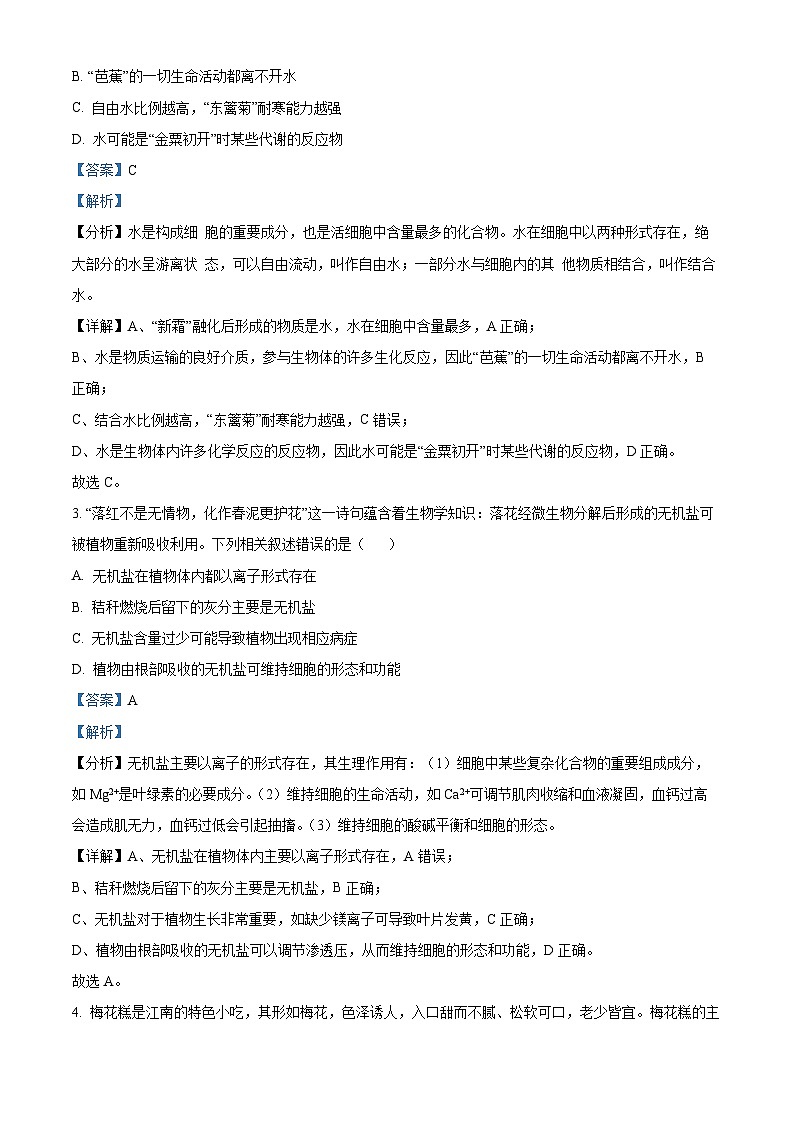 浙江省嘉兴市八校联盟2024-2025学年高一上学期期中考试生物试题 Word版含解析第2页