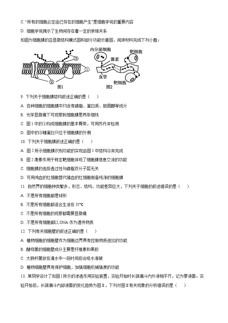 浙江省嘉兴市八校联盟2024-2025学年高一上学期期中考试生物试题 Word版无答案第3页