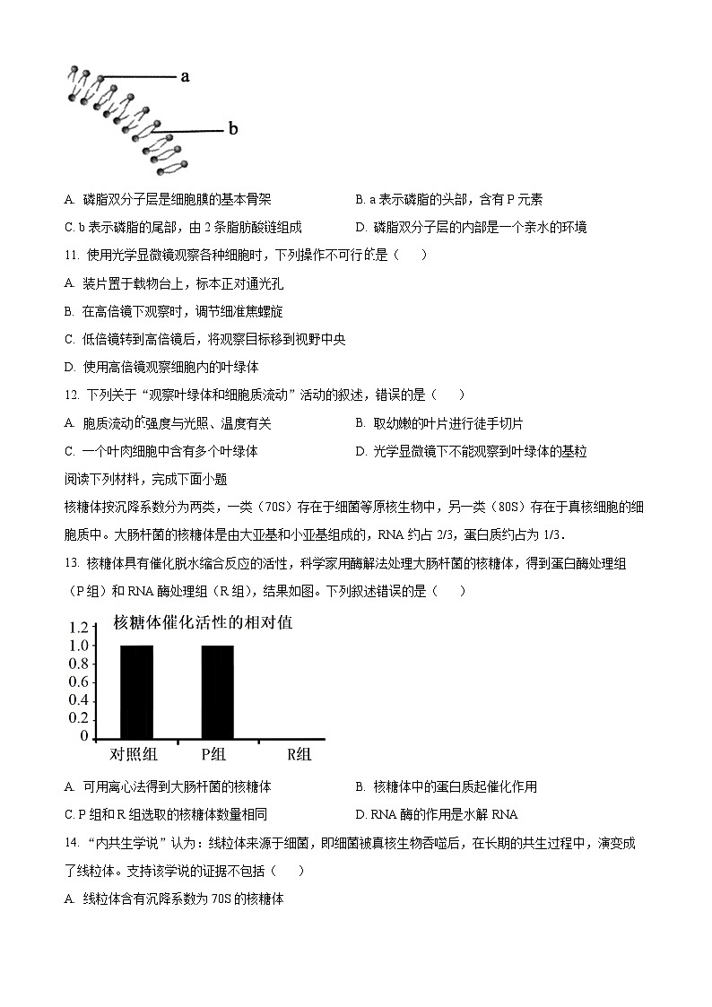 浙江省杭州市浙里特色联盟2024-2025学年高一上学期11月期中生物试题 Word版无答案第3页