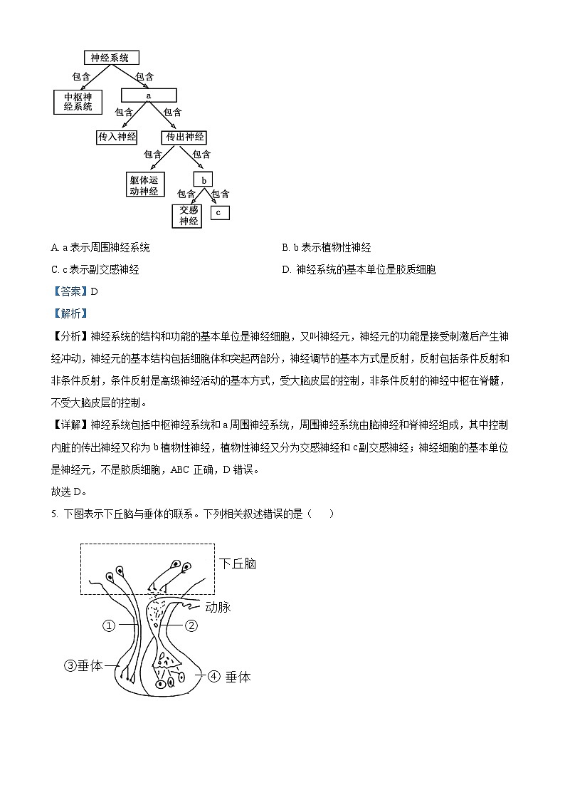 浙江省杭州市浙里特色联盟2024-2025学年高二上学期11月期中生物试卷(Word版附解析)03