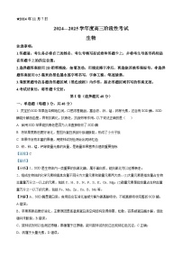 河南省三門峽市2024-2025學(xué)年高三上學(xué)期11月期中生物試卷（Word版附解析）