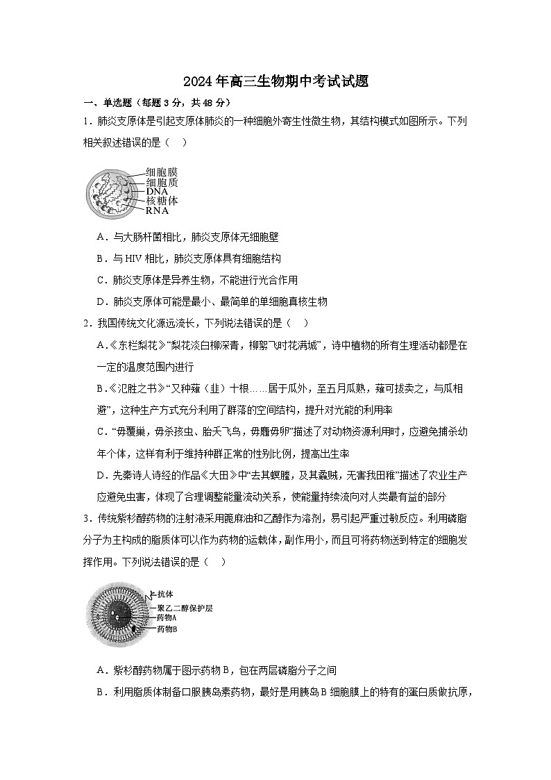 湖南省岳阳市岳阳县第一中学2024-2025学年高三上学期11月期中生物试题第1页
