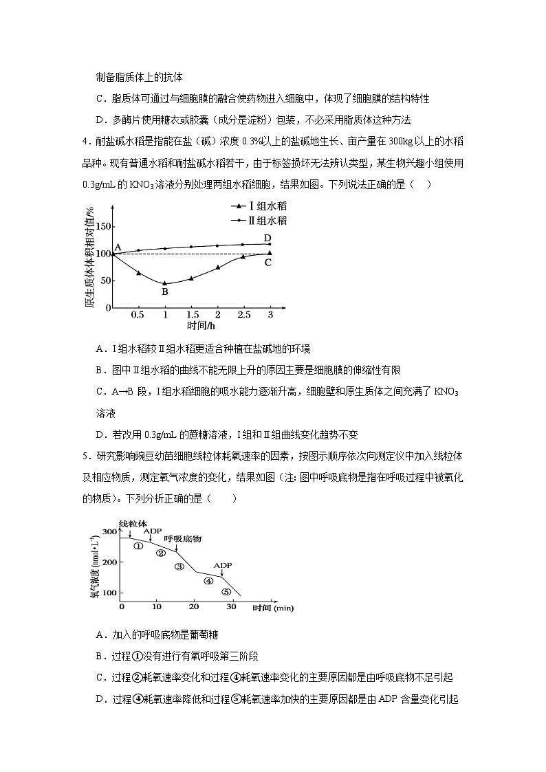 湖南省岳阳市岳阳县第一中学2024-2025学年高三上学期11月期中生物试题第2页