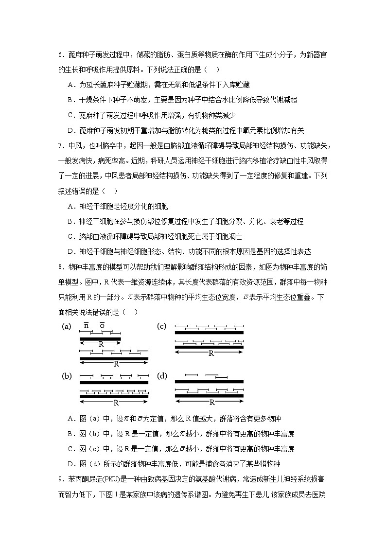 湖南省岳阳市岳阳县第一中学2024-2025学年高三上学期11月期中生物试题第3页