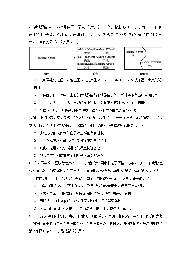 湖南省岳阳市岳阳县第一中学2024-2025学年高二上学期11月期中生物试题第2页