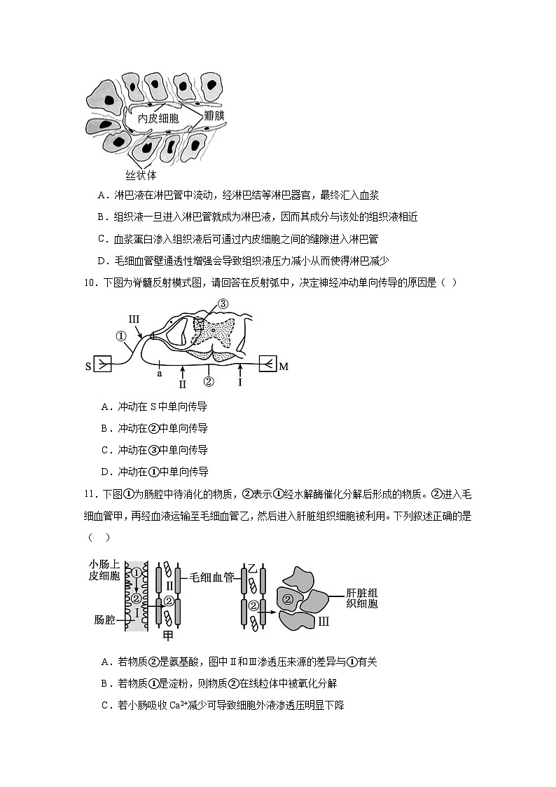 湖南省岳阳市岳阳县第一中学2024-2025学年高二上学期11月期中生物试题第3页