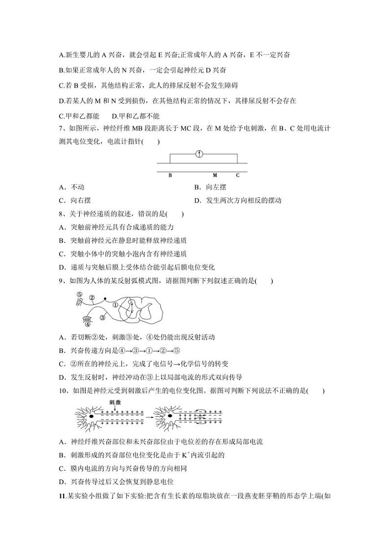 甘肃省天水市第一中学2024~2025学年高二(上)11月月考生物试卷(含答案)第2页