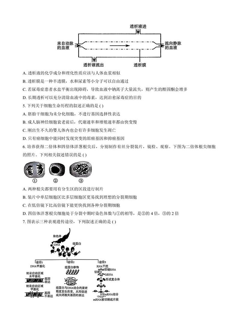 江西省萍乡实验学校暨长郡十八校联考2024~2025学年高三(上)月考四生物试卷(含答案)第2页