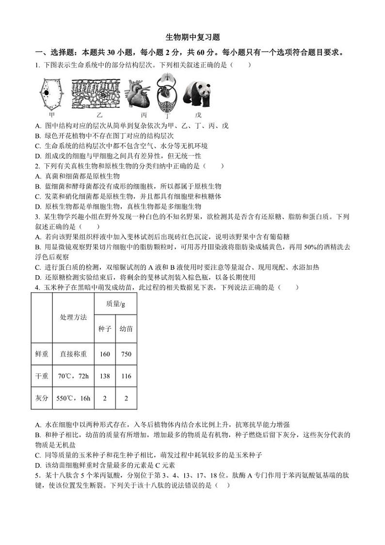 山东省青岛市胶州市第一中学2024~2025学年高一(上)期中生物试卷(含答案)第1页