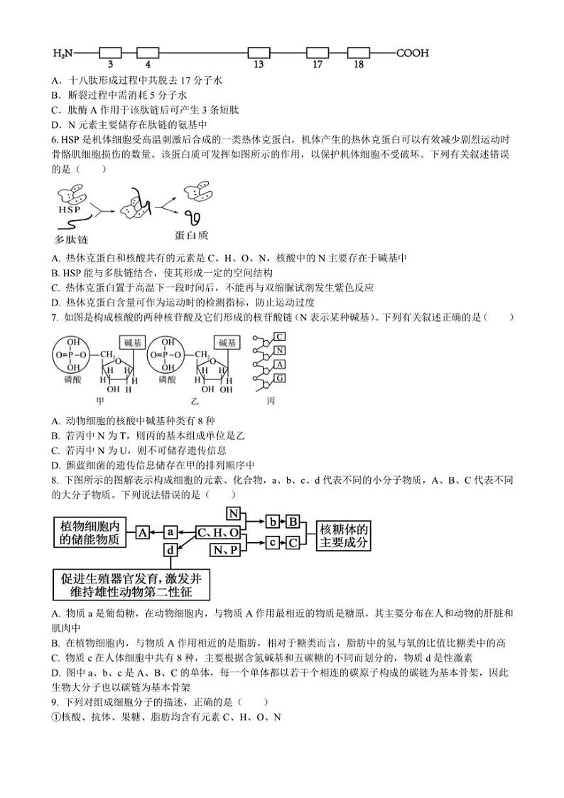 山东省青岛市胶州市第一中学2024~2025学年高一(上)期中生物试卷(含答案)第2页