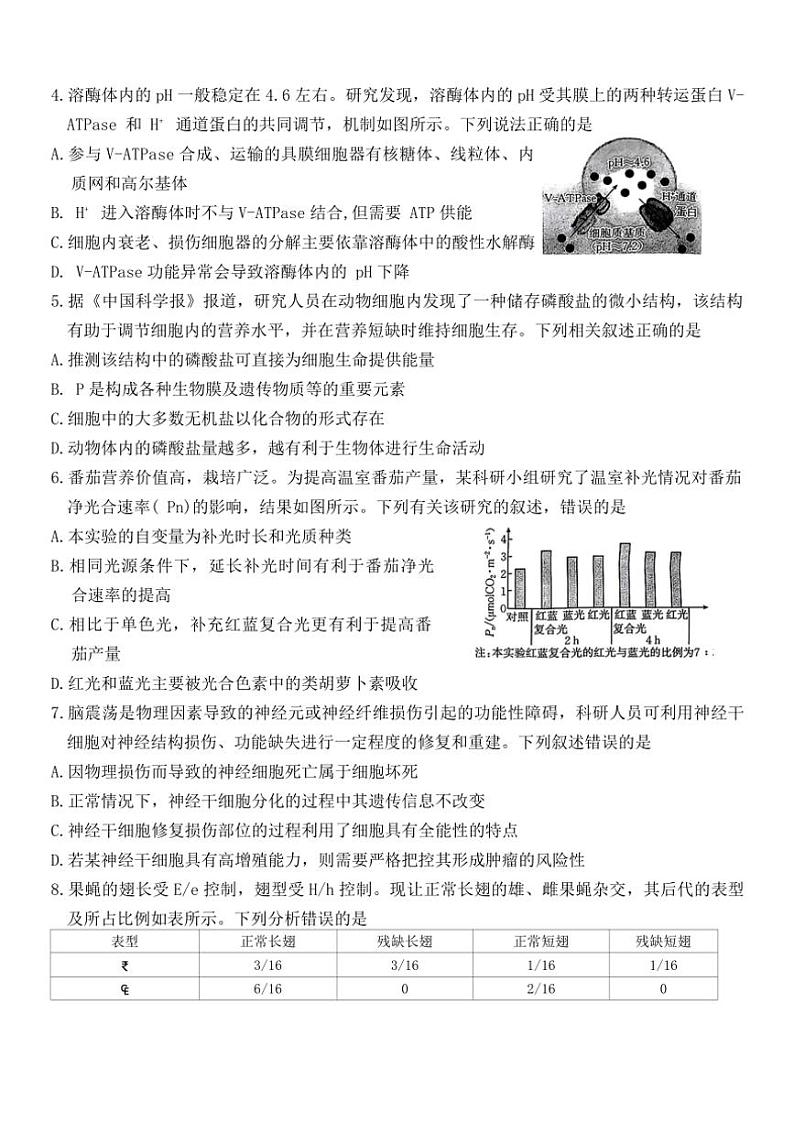 陕西省安康市2024~2025学年高三(上)第一次质量联考生物试卷(含答案)第2页