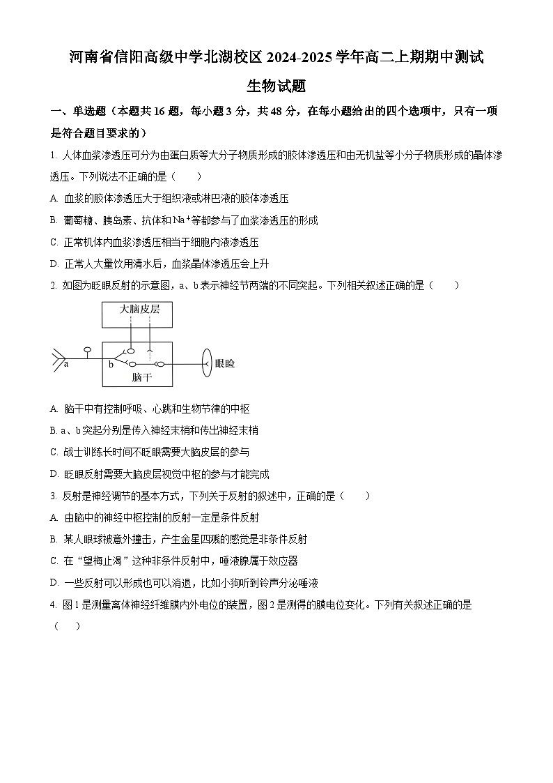 河南省信阳高级中学北湖校区2024-2025学年高二上学期期中考试生物试卷(Word版附解析)第1页