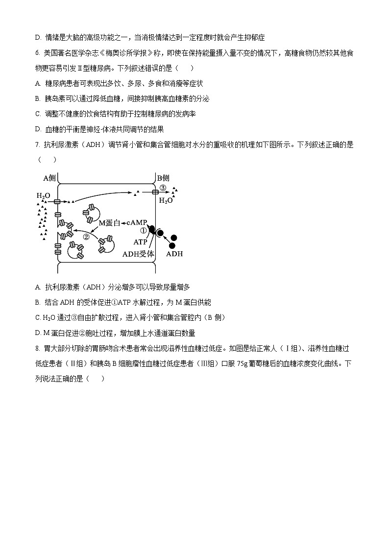 2025山东省实验中学高二上学期11月期中考试生物含解析第3页