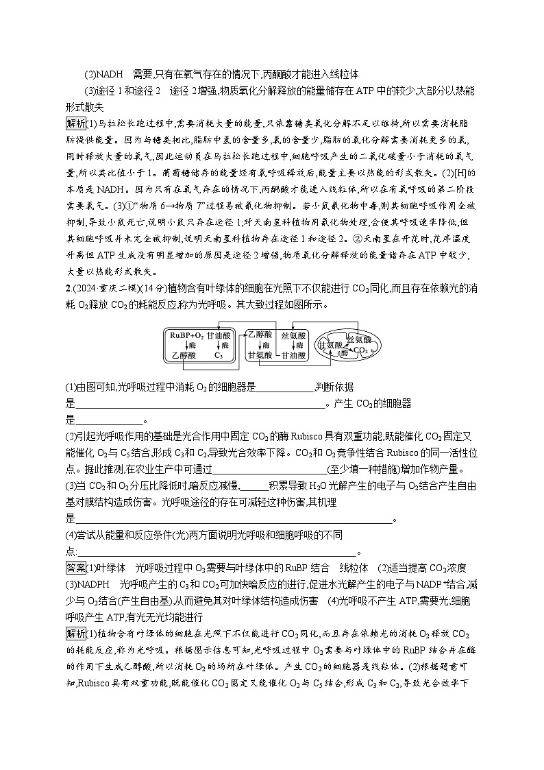备战2025年高考二轮复习生物(通用版)大题分析与表达练1细胞代谢(Word版附解析)第2页