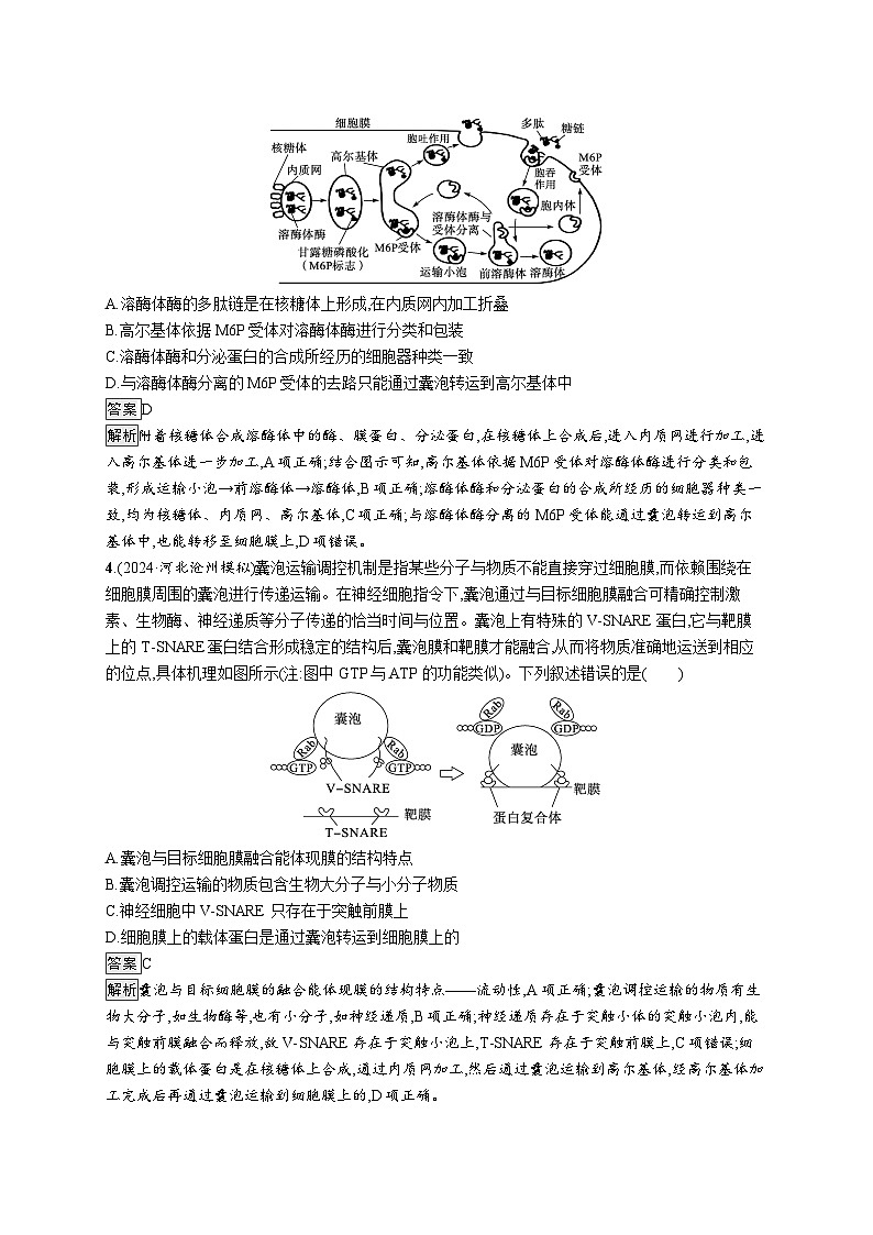 备战2025年高考二轮复习生物(通用版)大单元1细胞是生物体结构与生命活动的基本单位层级二关键突破提升练(Word版附解析)第2页