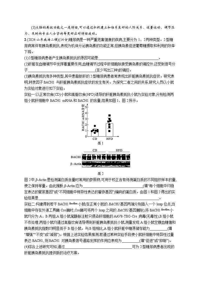 备战2025年高考二轮复习生物(山东版)大题分析与表达练4个体生命活动的调节(Word版附解析)02