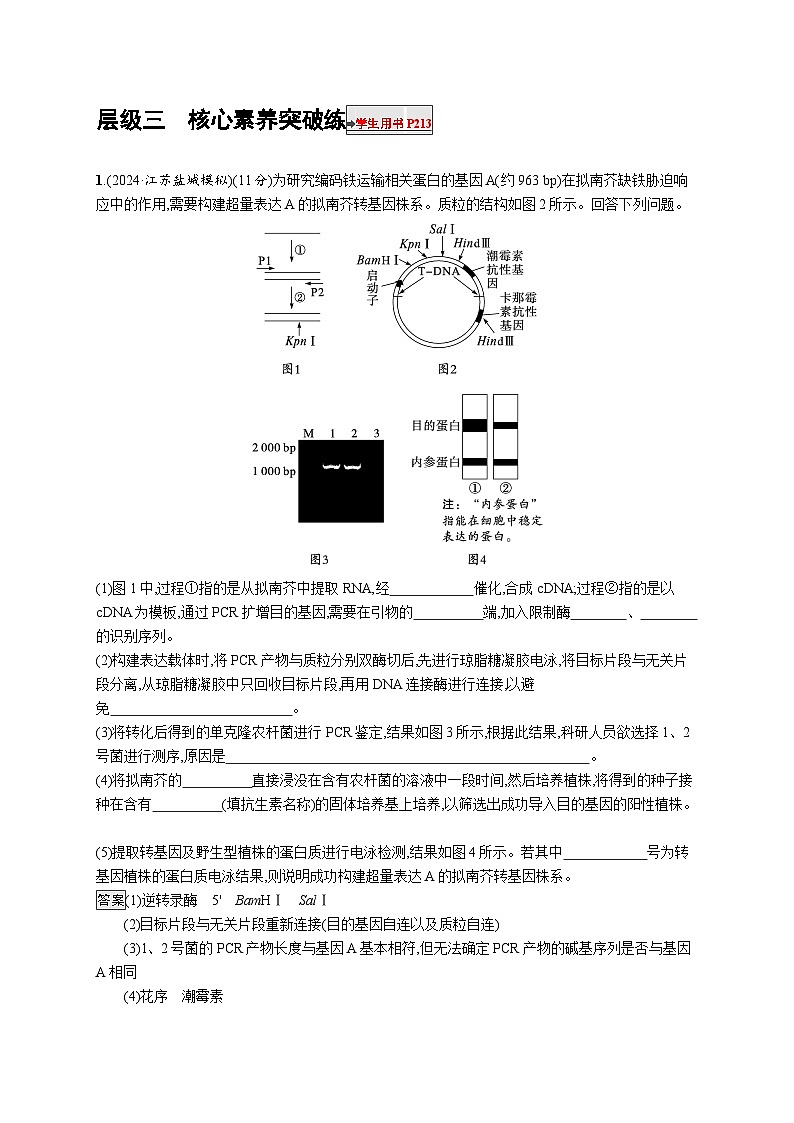备战2025年高考二轮复习生物(山东版)大单元8生物技术与工程层级三核心素养突破练(Word版附解析)第1页