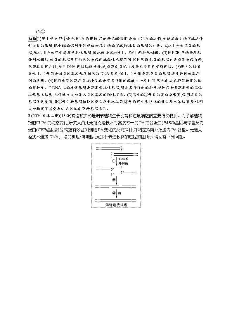 备战2025年高考二轮复习生物(山东版)大单元8生物技术与工程层级三核心素养突破练(Word版附解析)第2页