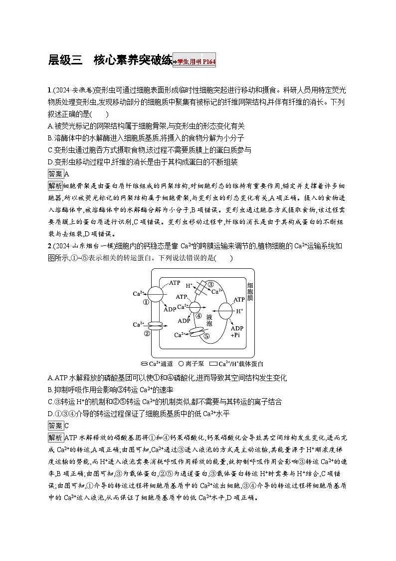 备战2025年高考二轮复习生物(山东版)大单元1细胞是生物体结构与生命活动的基本单位层级三核心素养突破练(Word版附解析)第1页