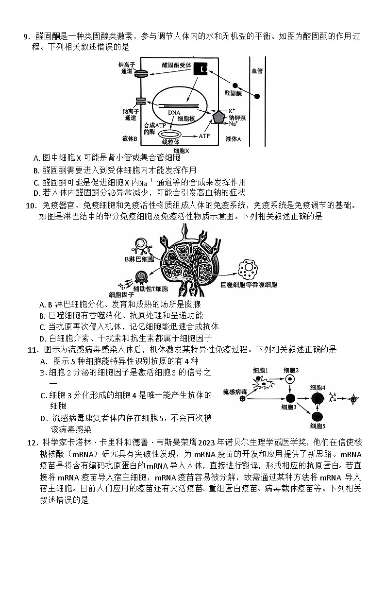 生物试题第3页
