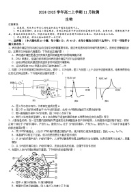 河南省安阳市林州市林州市第一中学2024-2025学年高二上学期11月月考生物试题