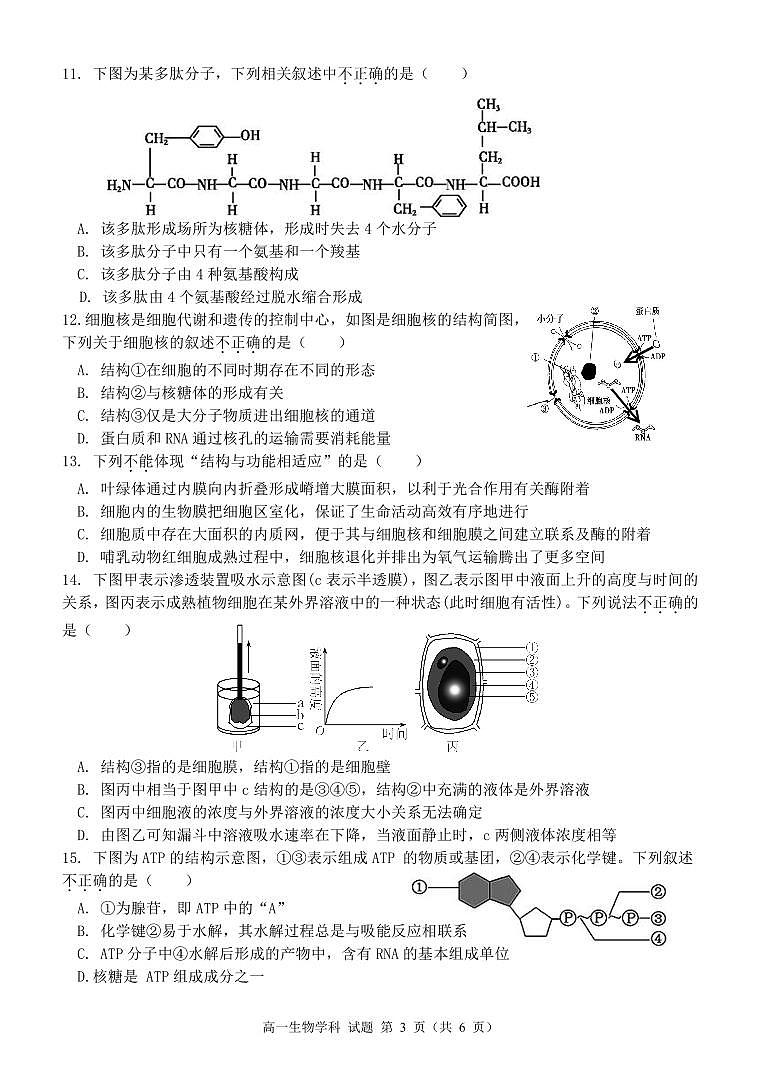高一生物试题第3页