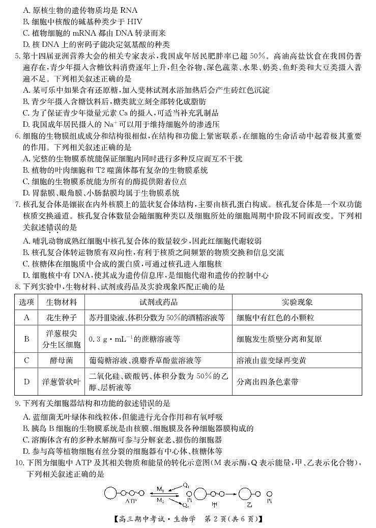 2025届湖北省九师联盟&宜昌协作体高三上学期11月考-生物试题+答案第2页