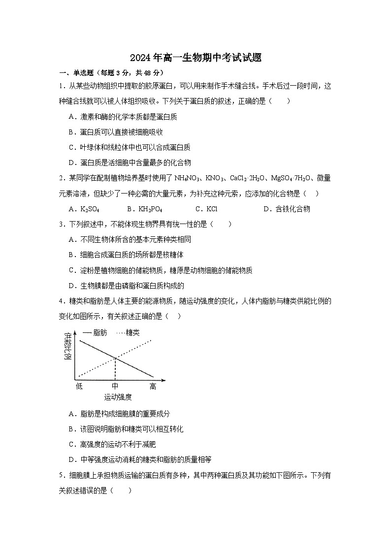 湖南省岳阳市岳阳县第一中学2024-2025学年高一上学期11月期中生物试题第1页
