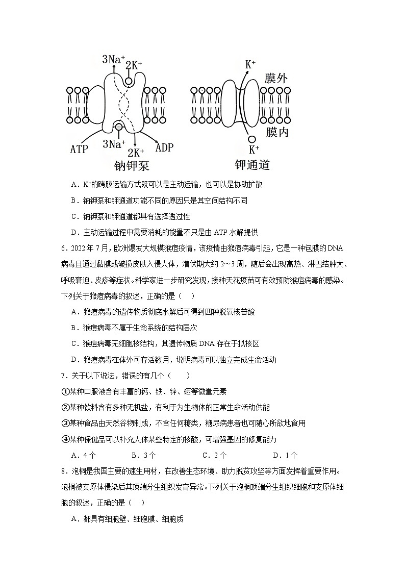 湖南省岳阳市岳阳县第一中学2024-2025学年高一上学期11月期中生物试题第2页