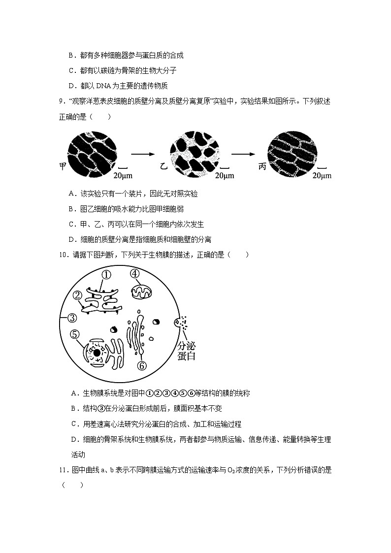 湖南省岳阳市岳阳县第一中学2024-2025学年高一上学期11月期中生物试题第3页
