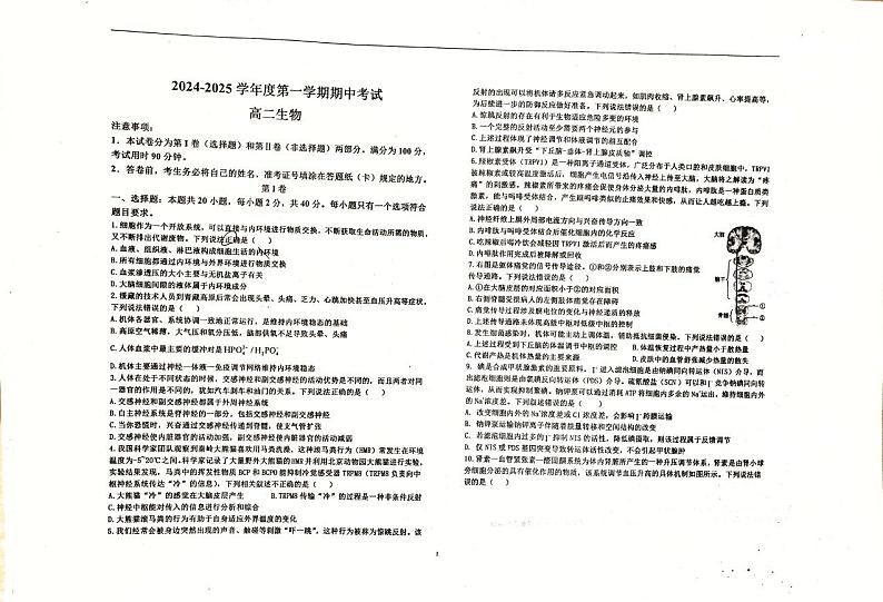 山东省淄博市沂源县第二中学2024-2025学年高二上学期11月期中生物试题第1页