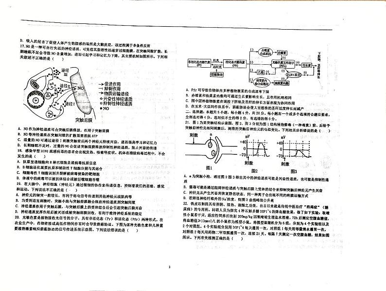 山东省淄博市沂源县第二中学2024-2025学年高二上学期11月期中生物试题第3页