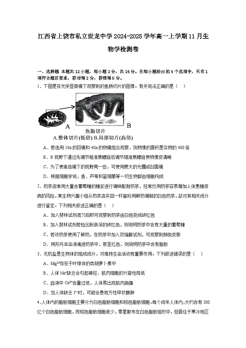 江西省上饶市私立世龙中学2024-2025学年高一上学期11月生物学检测卷01