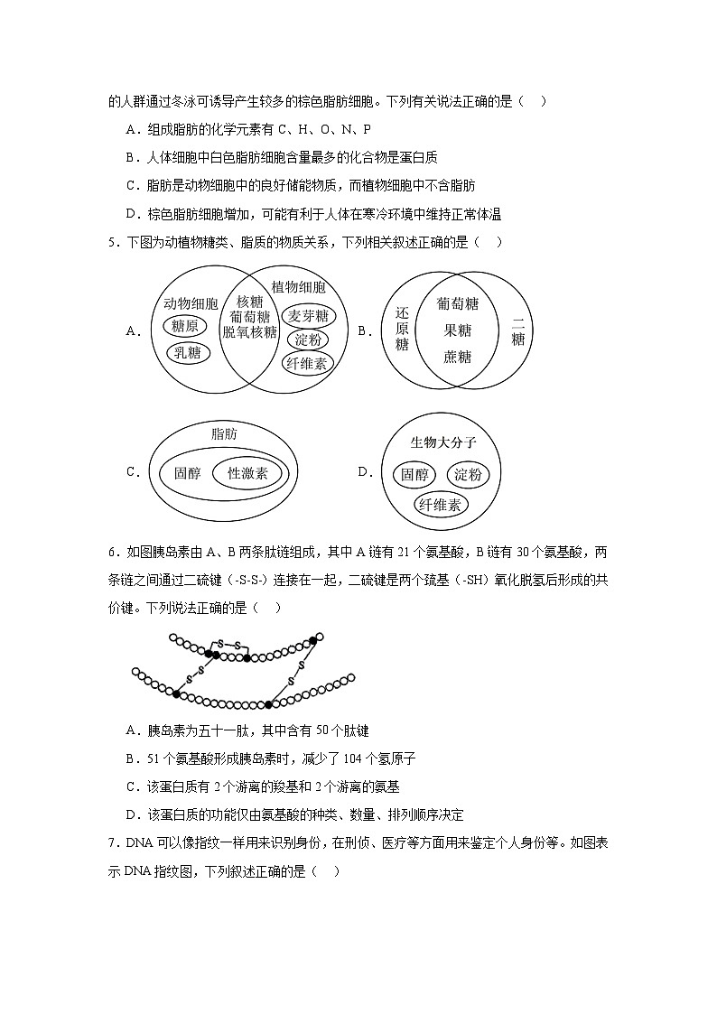 江西省上饶市私立世龙中学2024-2025学年高一上学期11月生物学检测卷02