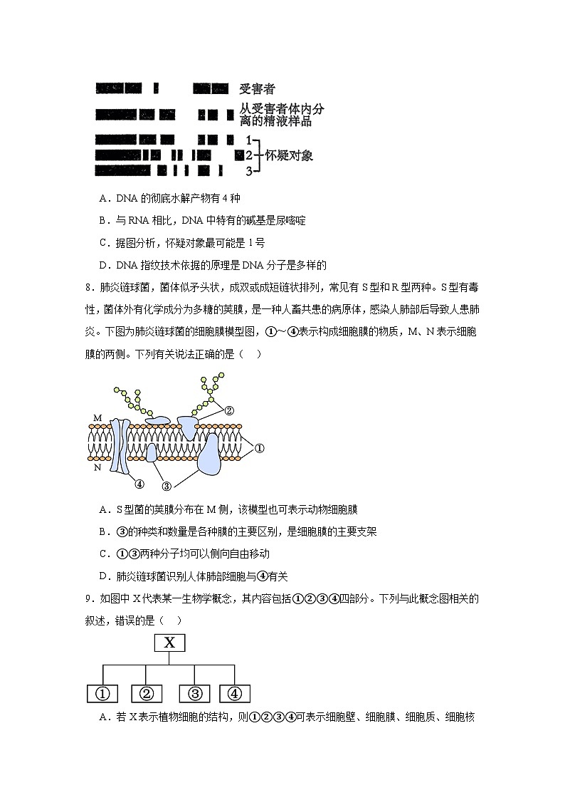 江西省上饶市私立世龙中学2024-2025学年高一上学期11月生物学检测卷03