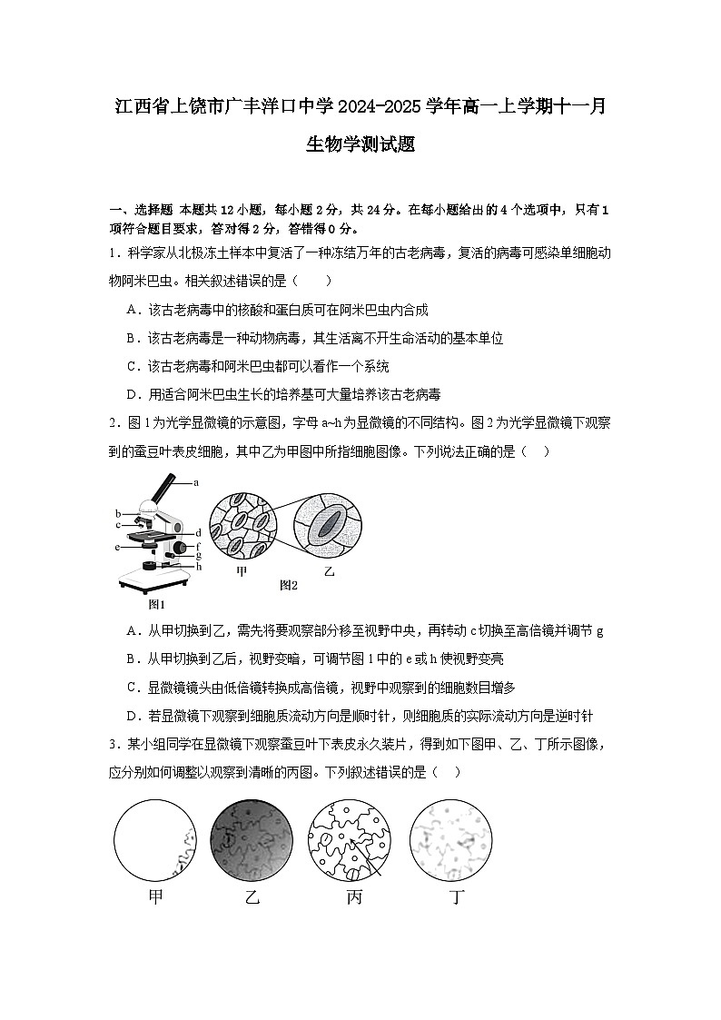 江西省上饶市广丰洋口中学2024-2025学年高一上学期11月生物学测试题第1页