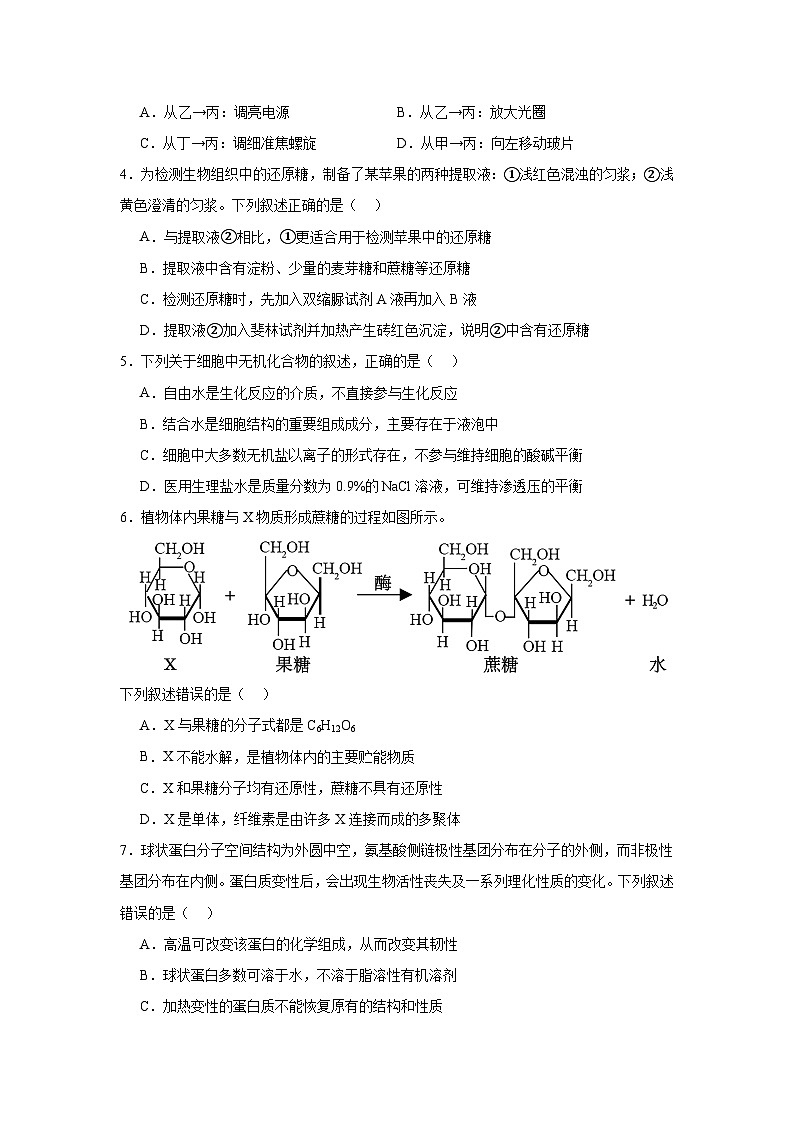江西省上饶市广丰洋口中学2024-2025学年高一上学期11月生物学测试题第2页
