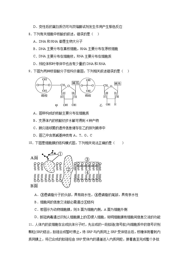 江西省上饶市广丰洋口中学2024-2025学年高一上学期11月生物学测试题第3页