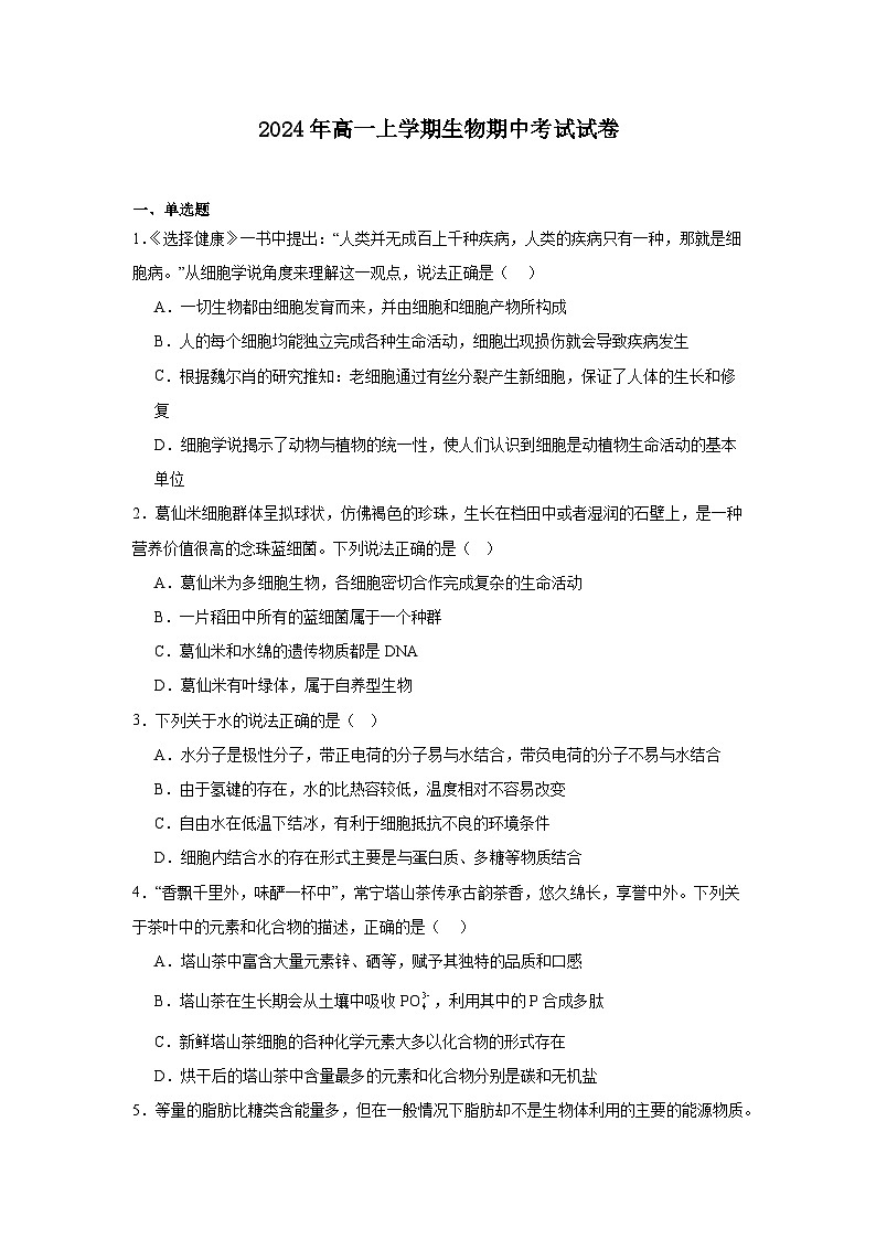 湖南省岳阳市云溪区2024-2025学年高一上学期11月期中生物试题第1页