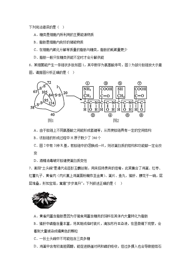 湖南省岳阳市云溪区2024-2025学年高一上学期11月期中生物试题第2页