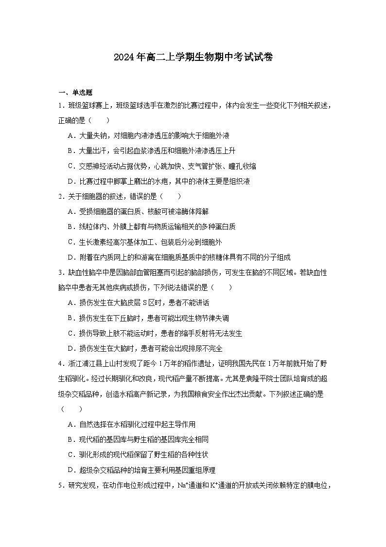 湖南省岳阳市云溪区2024-2025学年高二上学期11月期中生物试题第1页
