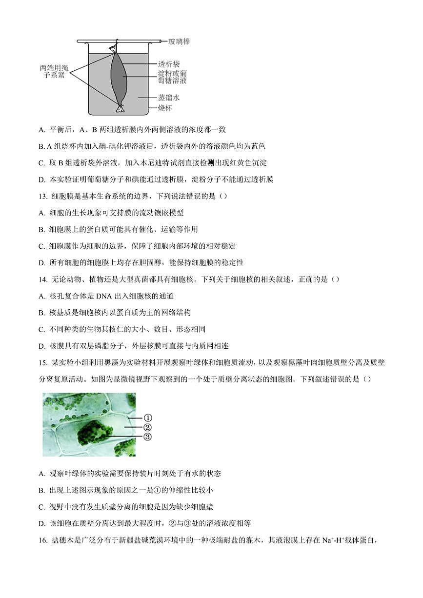 浙江省衢州五校聯(lián)盟2024～2025學(xué)年高一(上)期中聯(lián)考生物試卷(含答案)第3頁(yè)